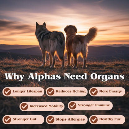 Alpha Organ Blend